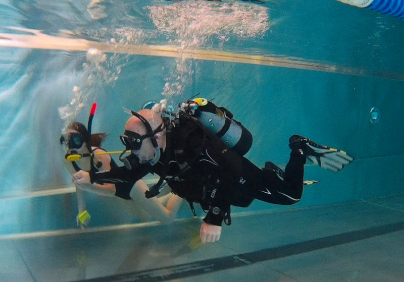 schwimmen tauchen1