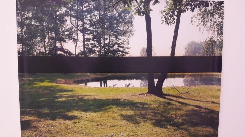 natur03
