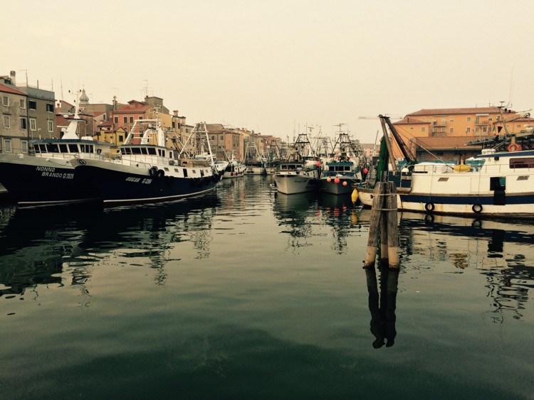 chioggia4
