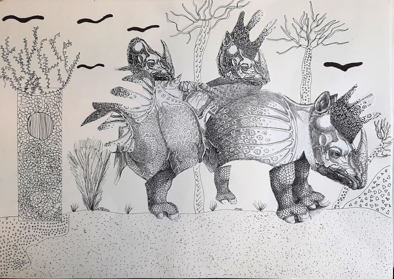 rhino 06