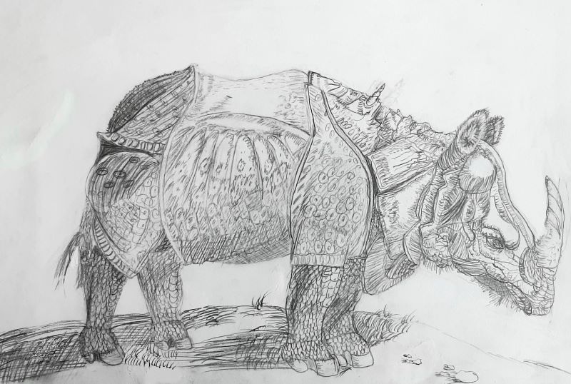 rhino 08