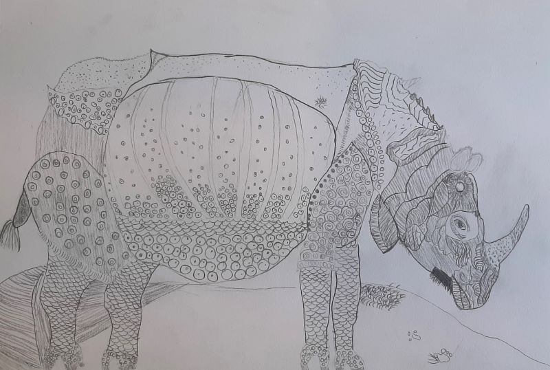rhino 09
