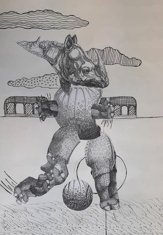 rhino 10
