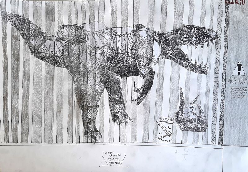 rhino 11