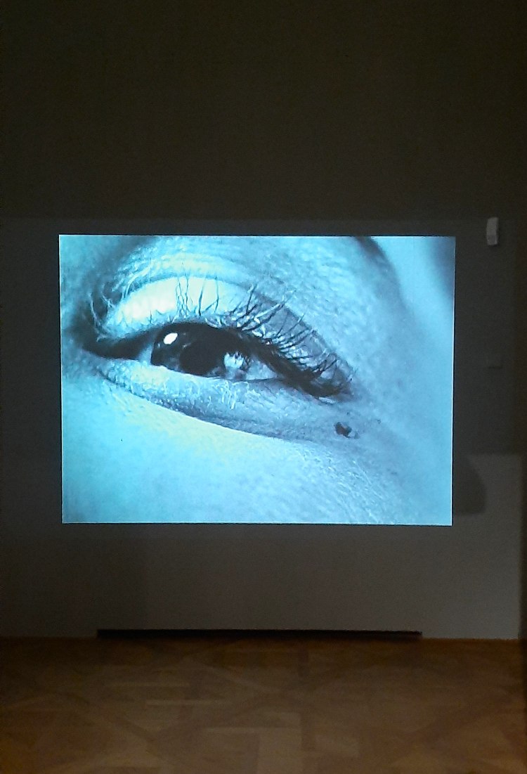 Radikal008